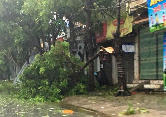 To&agrave;n tỉnh Ninh B&igrave;nh mất điện v&igrave; b&atilde;o số 1 - Ảnh 6.