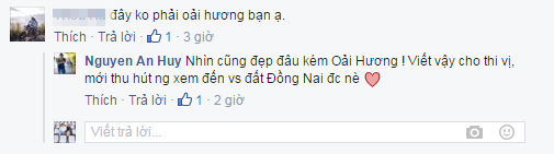 Thực hư xung quanh vườn oải hương tuyệt đẹp ở Đồng Nai - Ảnh 7.