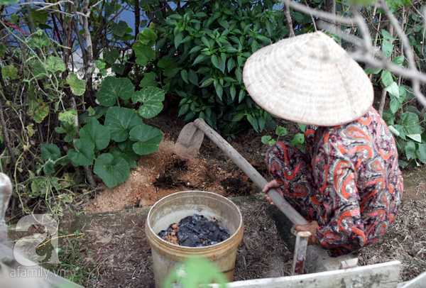 Vườn rau sạch tươi tốt ăn không hết dọc bờ kè sông Tô Lịch khiến ai cũng... phát thèm - Ảnh 12.