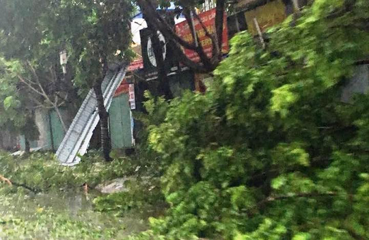 To&agrave;n tỉnh Ninh B&igrave;nh mất điện v&igrave; b&atilde;o số 1 - Ảnh 8.