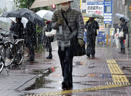 Tokyo sững sờ vì tuyết rơi tháng 11 - Ảnh 9.
