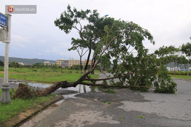 Ảnh hưởng của bão số 4: 1 người mất tích, hàng loạt cây xanh đổ ngã, đường sá sạt lở nghiêm trọng - Ảnh 1.