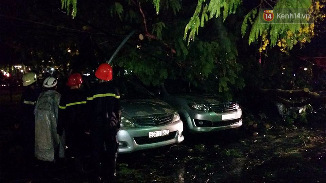 Các tài xế hoảng hồn kể lại khoảnh khắc cây đổ kéo theo trụ điện đè bẹp 7 ô tô ở Sài Gòn - Ảnh 2.
