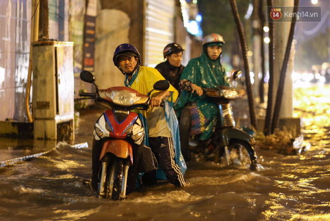 Sài Gòn lại ngập sau trận mưa thứ 3 liên tiếp, cây xanh gãy đổ khắp nơi - Ảnh 9.