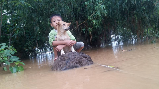 Photos of the day: Cậu bé và chú chó trong nước lũ - Ảnh 1.