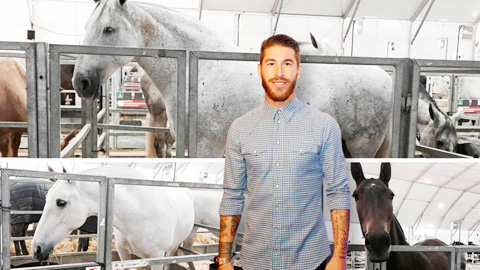 Sergio Ramos nuôi ngựa: Đua có giải, nghỉ vẫn hái ra tiền - Ảnh 1.