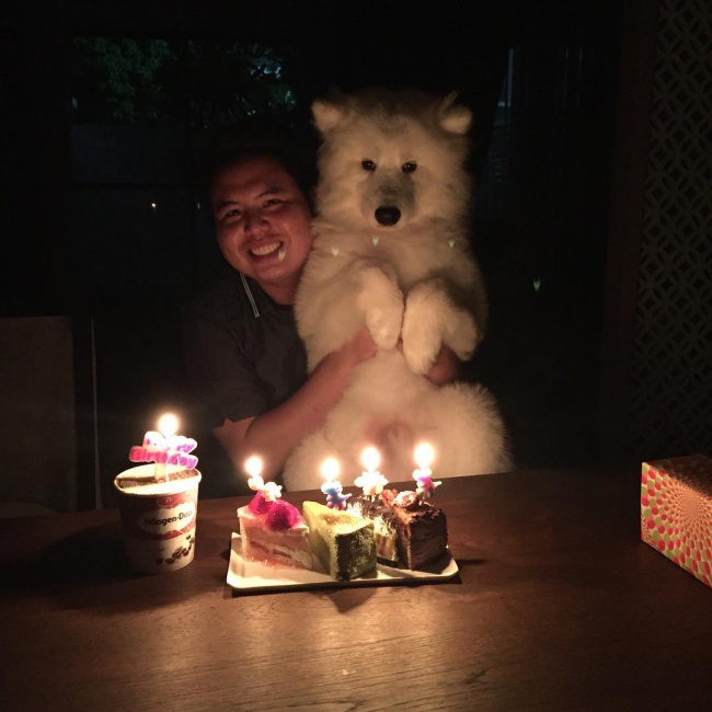 18 minh chứng vì sao Samoyed là hoa hậu thân thiện của loài chó - Ảnh 9.