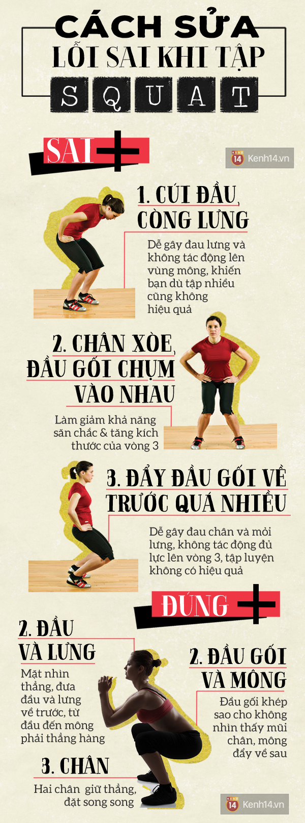 Sửa ngay 3 lỗi sai cơ bản với bài tập squat để giúp vòng 3 nở nang - Ảnh 1.