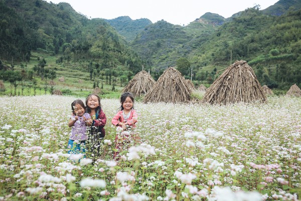 Năm 2016, hãy đi ngay tới những nơi này để thấy Việt Nam mình đẹp thế nào! - Ảnh 15.