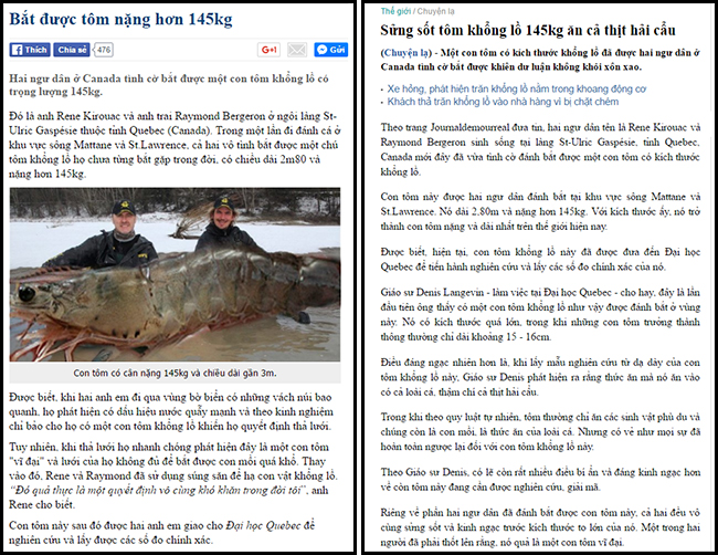 Bóc phốt vụ con tôm khổng lồ 145kg ăn thịt cả hải cẩu - Ảnh 3.