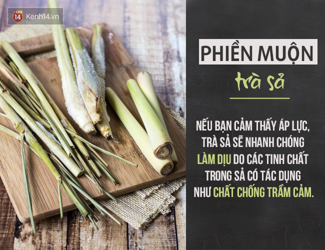 Người thông minh là phải biết chọn trà theo từng loại cảm xúc - Ảnh 11.