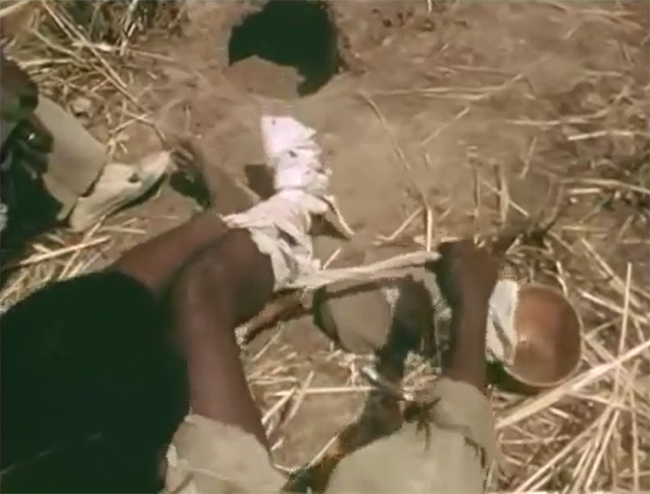 Xem thợ săn Châu Phi dùng chân trần làm mồi nhử bắt trăn khổng lồ - Ảnh 4.