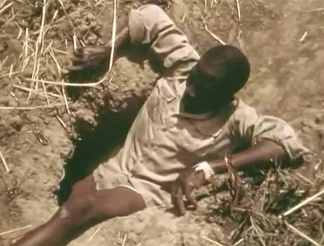 Xem thợ săn Châu Phi dùng chân trần làm mồi nhử bắt trăn khổng lồ - Ảnh 5.