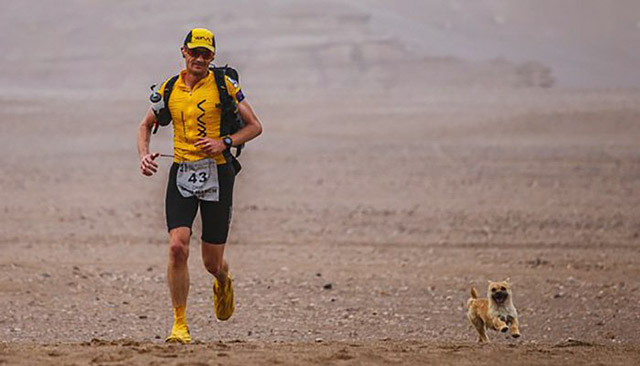 Cùng nhau vượt qua 124km chạy bộ trên sa mạc, cô chó đi lạc đã tìm được chủ mới cho mình - Ảnh 2.
