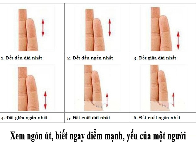 Xem ngay ngón tay út để biết thế mạnh của chính mình - Ảnh 1.