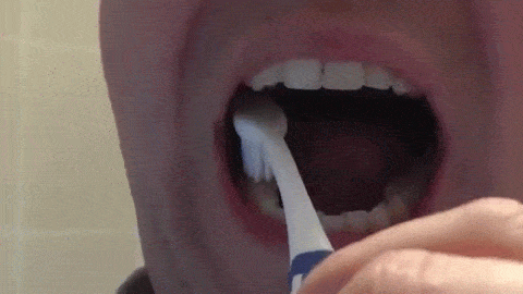 Những nơi cần phải l&agrave;m sạch nhưng thường bị bỏ qu&ecirc;n khi đ&aacute;nh răng - Ảnh 3.