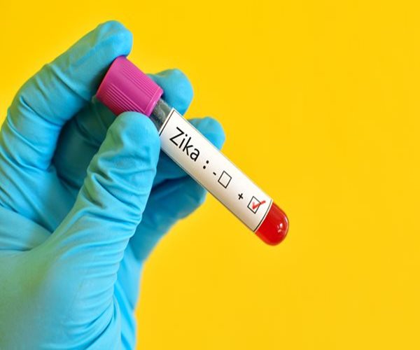 Thử nghiệm thành công 3 mẫu vaccine phòng chống virus Zika - Ảnh 2.
