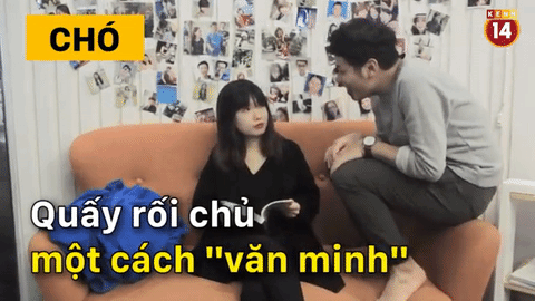 Sự kh&aacute;c biệt ho&agrave;n to&agrave;n giữa #team nu&ocirc;i ch&oacute; v&agrave; #team nu&ocirc;i m&egrave;o! - Ảnh 2.