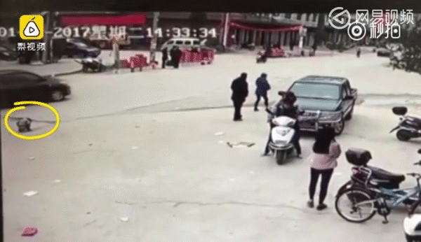 Trung Quốc: Bé gái 6 tuổi bị xe khách cán chết thương tâm khi đang tiểu tiện bừa bãi giữa đường - Ảnh 2.