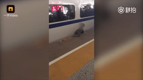 Trung Qu&ocirc;́c: Kinh hoàng người đàn &ocirc;ng bị tàu cao t&ocirc;́c nghi&ecirc;̀n nát người - Ảnh 1.