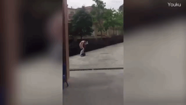 B&eacute; g&aacute;i bị c&ocirc; gi&aacute;o t&uacute;m t&oacute;c v&agrave; k&eacute;o l&ecirc; d&atilde; man tr&ecirc;n đường trở về lớp - Ảnh 1.
