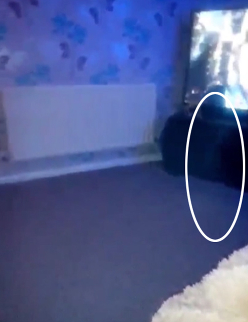 Trong nhà có nhiều hiện tượng bất thường, người phụ nữ quay camera và phát hiện bóng trắng mờ ảo di chuyển - Ảnh 3.