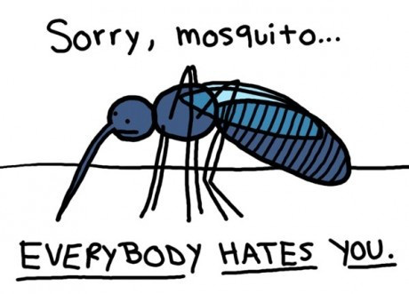 Thời tiết khiến muỗi xuất hiện nhiều hơn, hãy học ngay các cách ngụy trang này để muỗi phớt lờ bạn - Ảnh 1.