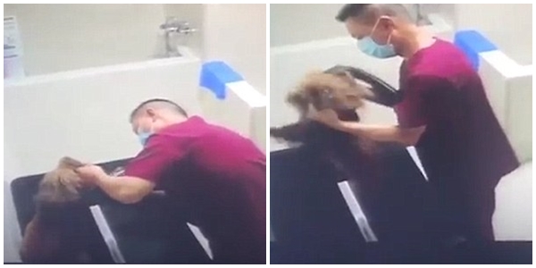 Đi chăm sóc sức khoẻ ở trung tâm hạng sang, chú chó nhỏ bị nhân viên thú y đối xử tàn tệ - Ảnh 2.