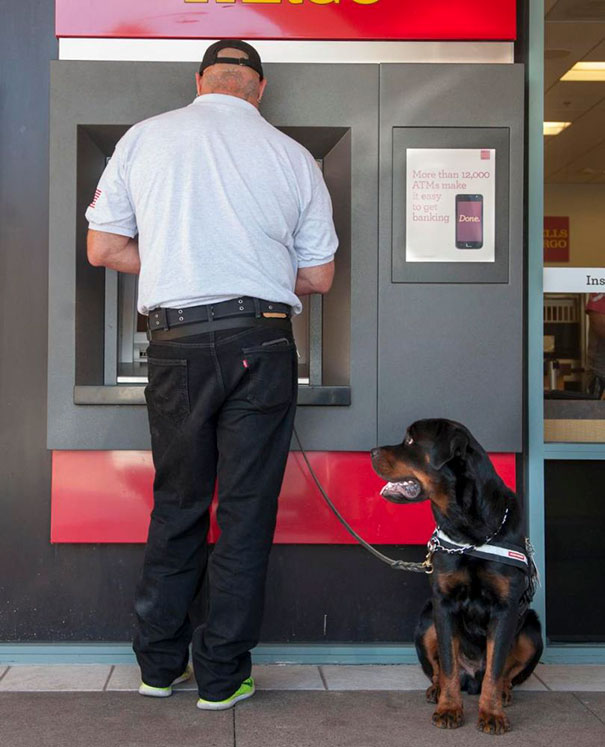 Những chú chó vào vai bảo kê máu mặt tại các cây ATM vào ban đêm - Ảnh 27.