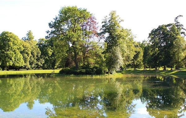 Cận cảnh nơi an nghỉ cuối cùng phủ bóng cây xanh của Công nương Diana - Ảnh 9.