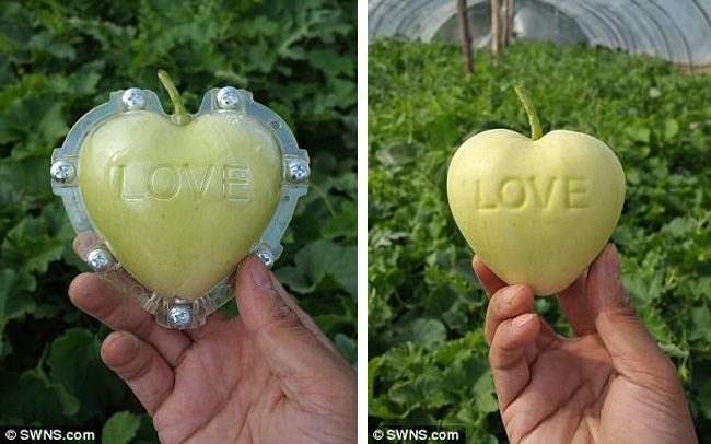 Las frutas mutantes tienen formas increíblemente extrañas - Foto 2.