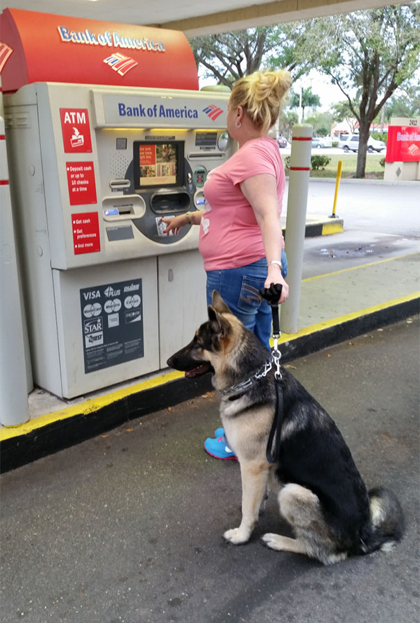 Những chú chó vào vai bảo kê máu mặt tại các cây ATM vào ban đêm - Ảnh 23.