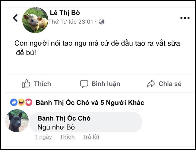 Động vật: Những chú thú nhỏ xinh xắn luôn đem đến một sự ngộ nghĩnh và đáng yêu cho chúng ta. Qua ảnh động vật, chúng ta có thể nhìn thấy cuộc sống đầy màu sắc và đa dạng của loài vật trên trái đất. Ảnh động vật là một cách để khám phá và yêu thương thế giới xung quanh mình.