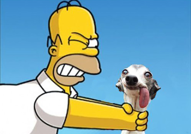 Chú chó thè lưỡi mặt ngố bị các thánh photoshop rảnh việc lôi ra chế ảnh - Ảnh 5.