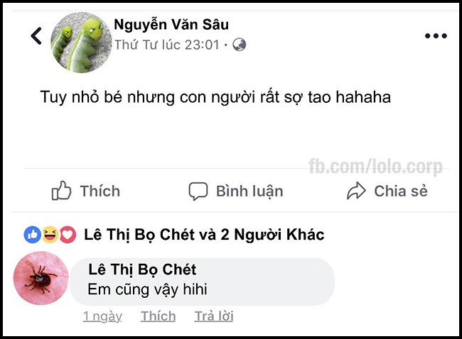 16 dòng status cập nhật siêu bựa của bè lũ động vật khi chơi Facebook - Ảnh 11.