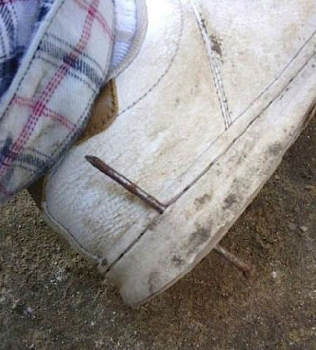 17 khoảnh khắc ng&agrave;n c&acirc;n treo sợi b&uacute;n m&agrave; chỉ người số đỏ mới c&oacute; diễm ph&uacute;c gặp được - Ảnh 27.