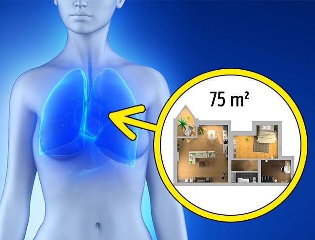 Những sự thật khoa học nghe qua thì tưởng hư cấu nhưng nó lại 100% có thật - Ảnh 4. Những sự thật khoa học nghe qua thì tưởng hư cấu nhưng nó lại 100% có thật - Ảnh 4.