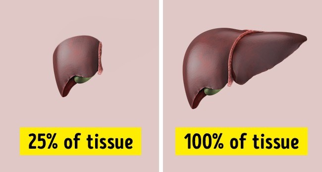 9 sự thật thú vị khiến bạn phải thốt lên cơ thể ta thật kì diệu - Ảnh 8.