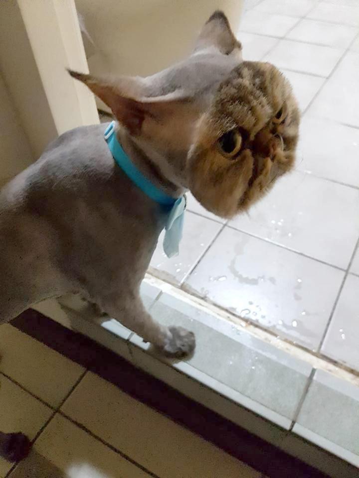 Thằng nô với con sen dụ các boss cạo lông một tý cho mát, và đây là cái tý của chúng nó - Ảnh 7. Thằng nô với con sen dụ các boss cạo lông một tý cho mát, và đây là cái tý của chúng nó - Ảnh 7.