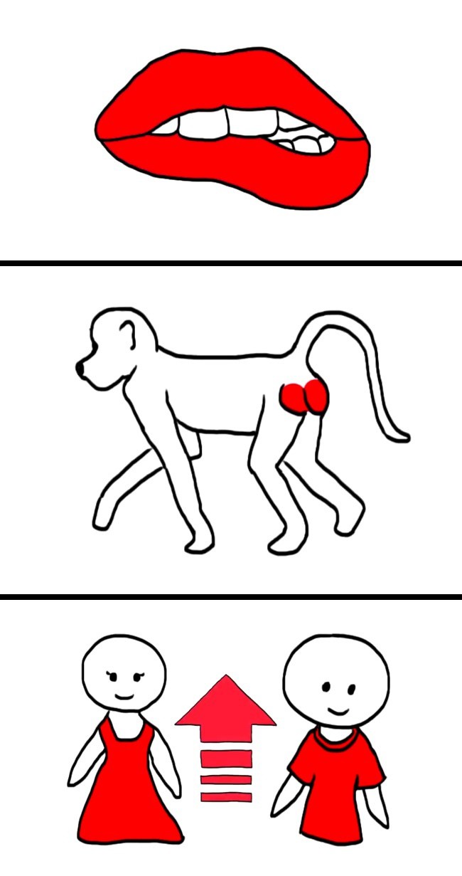 Chuy&ecirc;n gia t&acirc;m l&yacute; bật m&iacute; b&iacute; k&iacute;p t&aacute;n tỉnh khiến đối phương đổ gục ngay từ lần đầu - Ảnh 2.