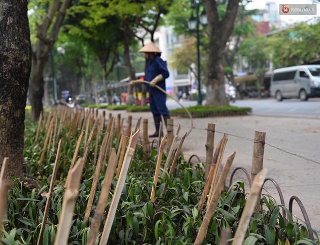 Hà Nội cắm chông nhọn hoắt trong vườn hoa ở Nhà hát lớn để.... ngăn chó - Ảnh 5.