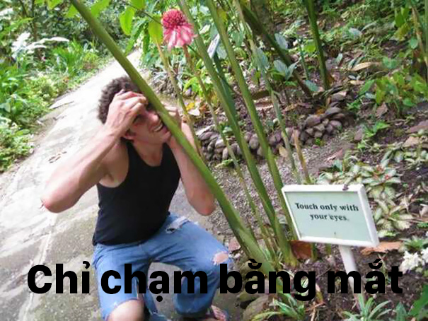 18 hành động rập khuôn hài hước của các thánh troll - Ảnh 25.