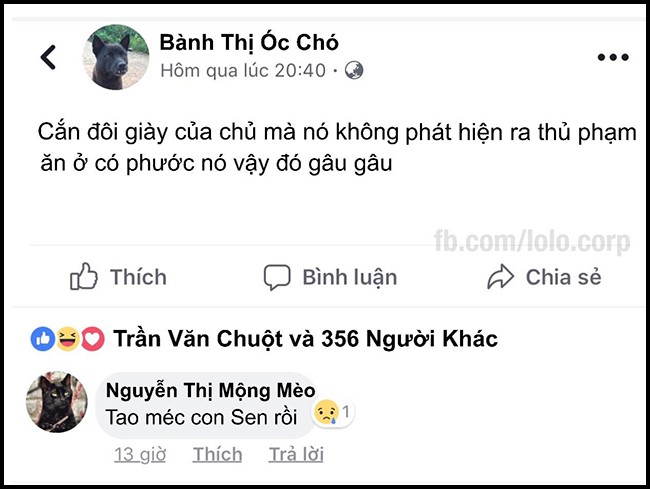 16 dòng status cập nhật siêu bựa của bè lũ động vật khi chơi Facebook - Ảnh 19.