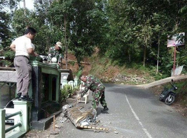 Ph&aacute;t hiện thấy bức tượng hổ mặt ngu buồn cười nhất thế giới - Ảnh 4.