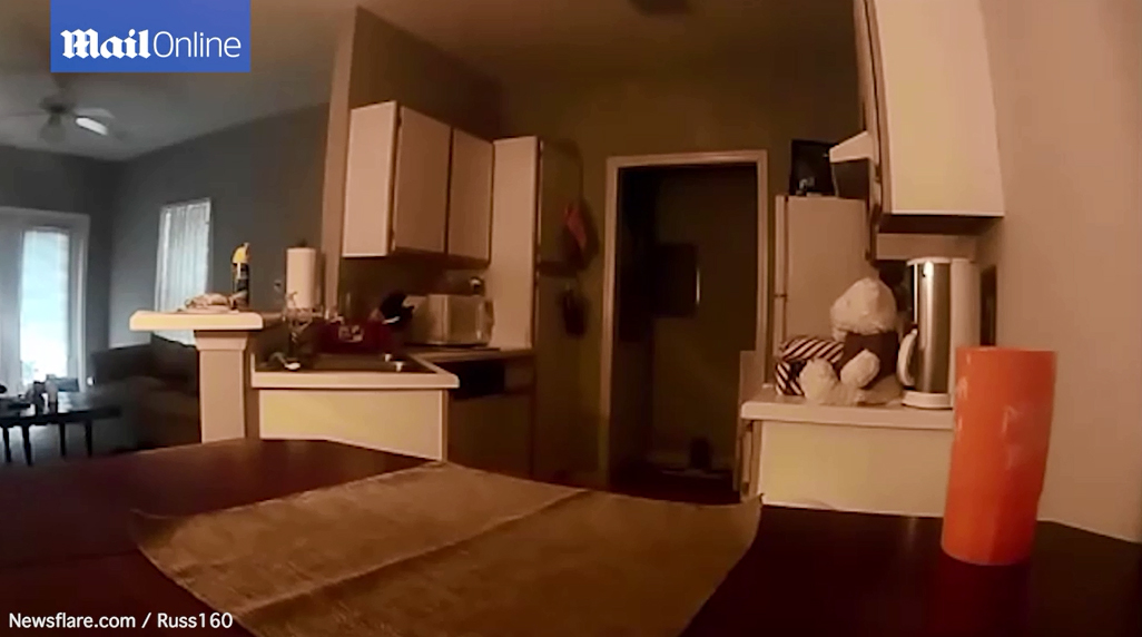 Thấy đồ vật thường xuy&ecirc;n tự rơi giữa đ&ecirc;m vắng, chủ nh&agrave; hết hồn khi xem lại camera gi&aacute;m s&aacute;t - Ảnh 2.