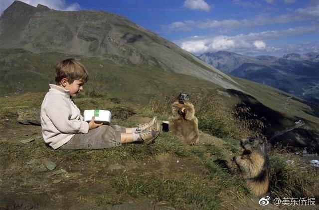 Suốt 9 năm, cậu bé không quản khó khăn, leo lên đỉnh Alps thăm những người bạn chuột chũi của mình - Ảnh 2.