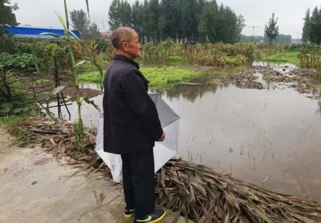 Người đ&agrave;n &ocirc;ng b&aacute;n rau nu&ocirc;i ch&aacute;u nội mồ c&ocirc;i suốt 14 năm bỗng ph&aacute;t hiện sự thật c&ograve;n đau đớn hơn cả mất con - Ảnh 2.