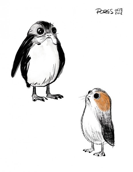 Lo mà giữ chặt ví tiền, vì linh vật đáng yêu lạc lối Porgs của Star Wars: The Last Jedi sẽ đốn tim bạn! - Ảnh 2.