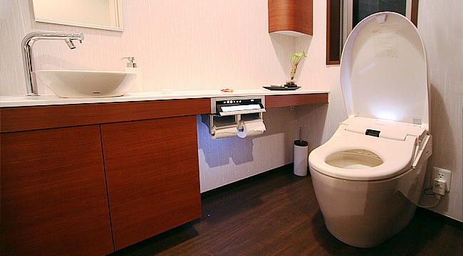 Đến Nhật Bản bạn đừng hòng đi vệ sinh trong lúc tắm, lý do là? - Ảnh 2.