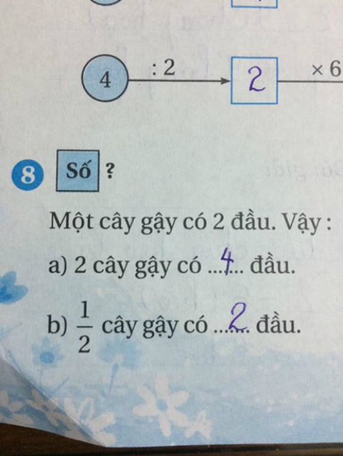 Bài toán đố lớp 2 khiến người lớn cũng phải điên đầu - Ảnh 1.